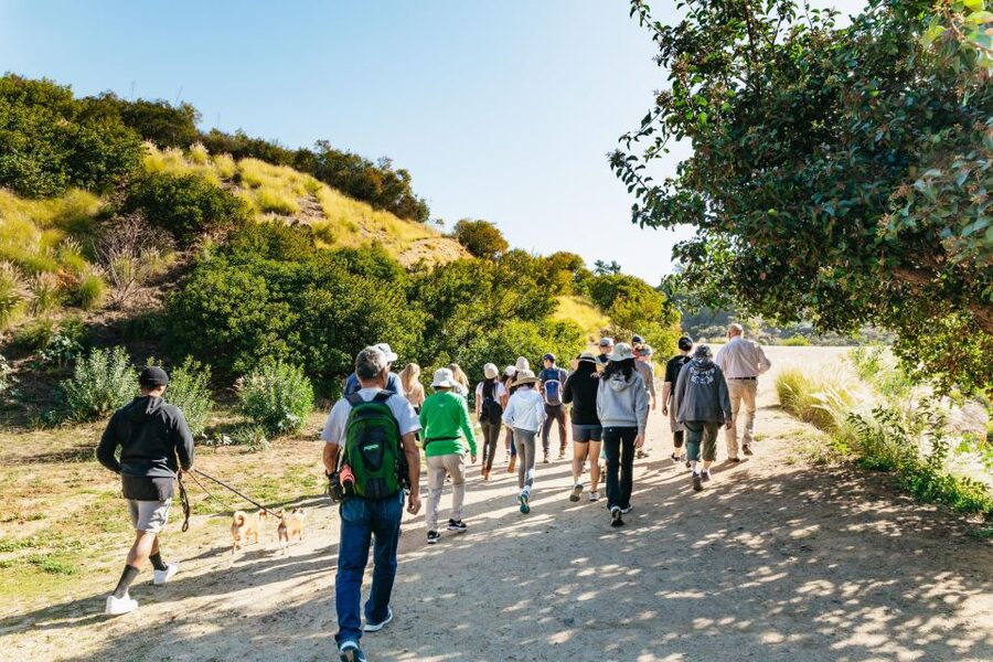 LA: Express Hollywood Sign Guided Walking Tour with Photos - Why the guides receive so much praise