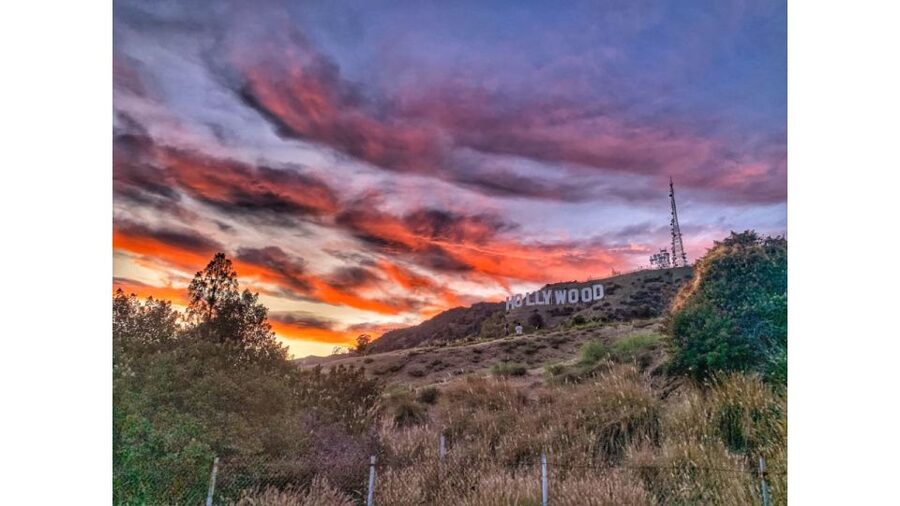 LA: Hollywood Sign Tour with Comedians, Dogs, & Epic Photos - Comedy, local stories, and the human side of LA