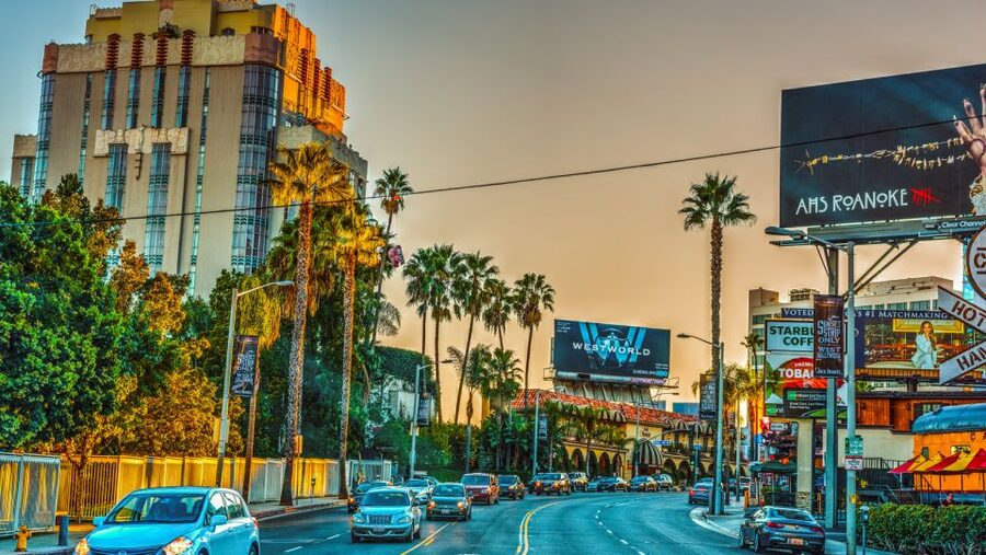 LA VIP Tour : Beverly Hills, Sunset Strip, & Hollywood Sign! - The guides are a major part of the value