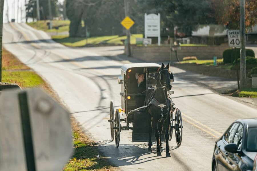 Lancaster: Amish Film, House, and Farmland Experience - How much value you get for $34