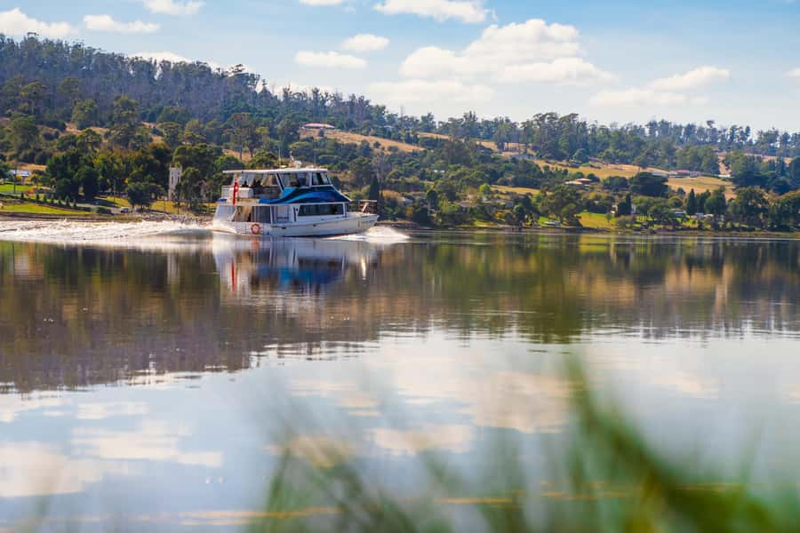 Launceston: 4-Hour Batman Bridge Luncheon Cruise - Key things to know before boarding