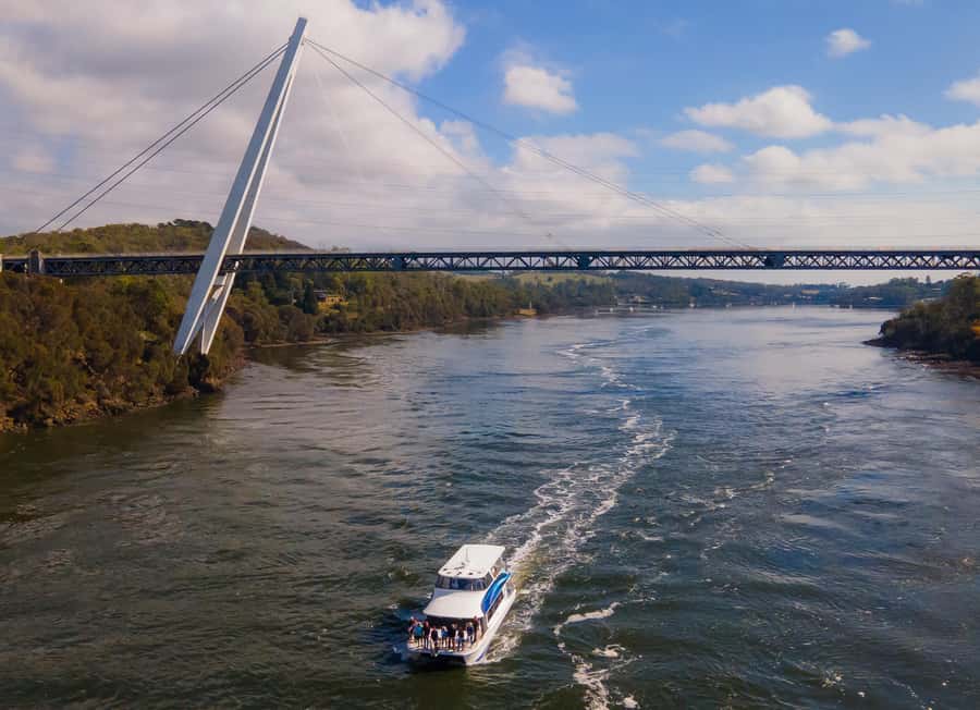 Launceston: 4-Hour Batman Bridge Luncheon Cruise - Why this Tamar River cruise works so well