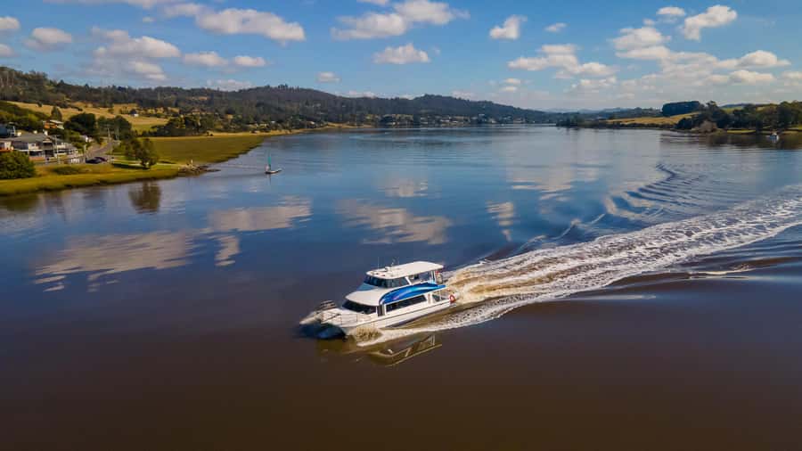 Launceston: 4-Hour Batman Bridge Luncheon Cruise - Lunch, wine, and the practical value of the fare