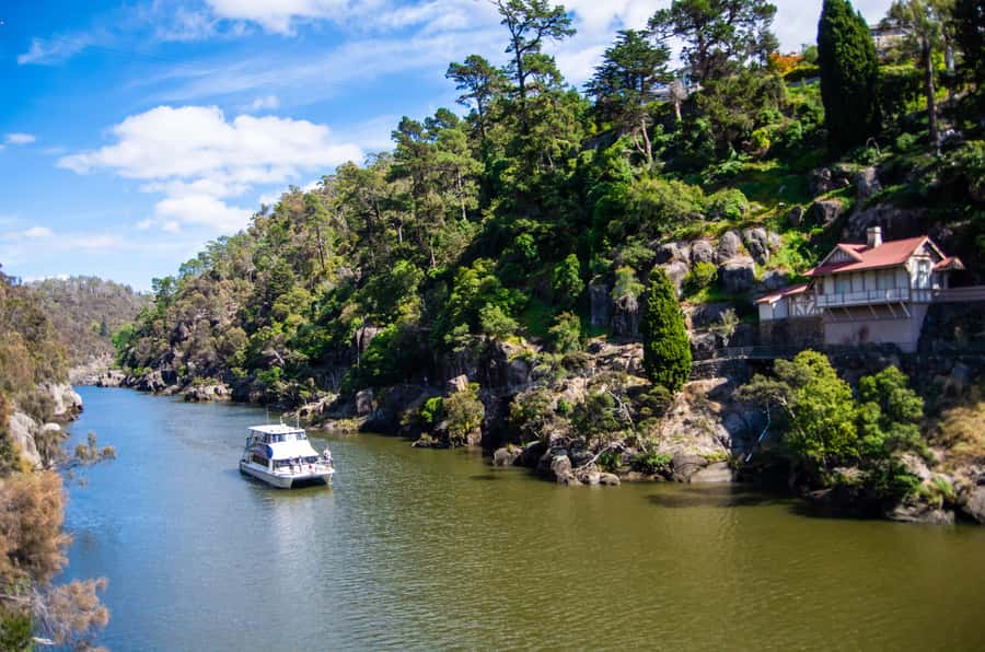 Launceston: 4-Hour Batman Bridge Luncheon Cruise - From river homes to farms and vineyards
