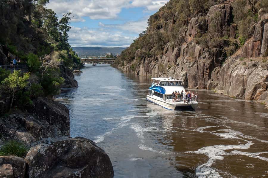 Launceston: 4-Hour Batman Bridge Luncheon Cruise - Wildlife in the protected Tamar inlets