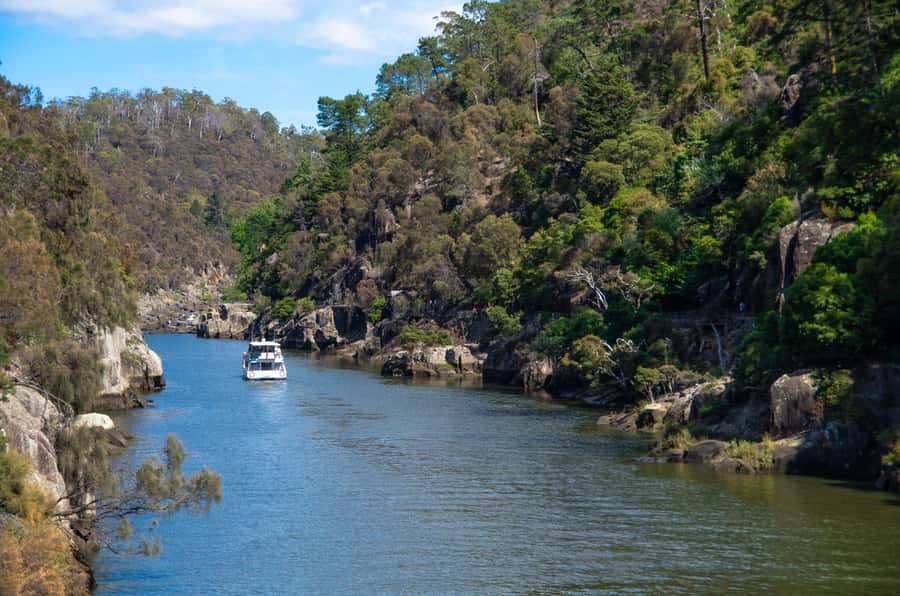Launceston: 4-Hour Batman Bridge Luncheon Cruise - Under Batman Bridge and through Whirlpool Reach