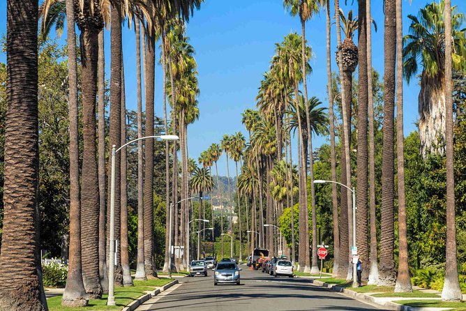 Limo Tour: Hollywood, Beverly Hills, Santa Monica, Venice, Malibu - Venice Beach and the 45-minute boardwalk stop
