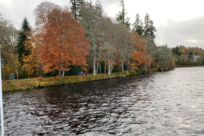 loch Ness, Clava Cairns, Culloden, COO,S, DRAMS & Outlander sites - Highland cows, goats, alpacas, and a farm shop
