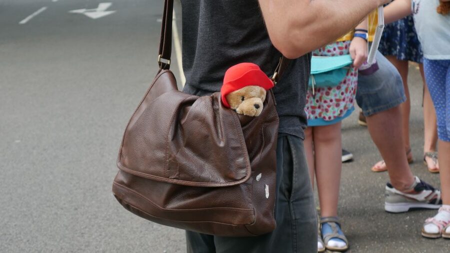 London: Guided Paddington Bear Walking Tour - Little Venice and Paddington Basin