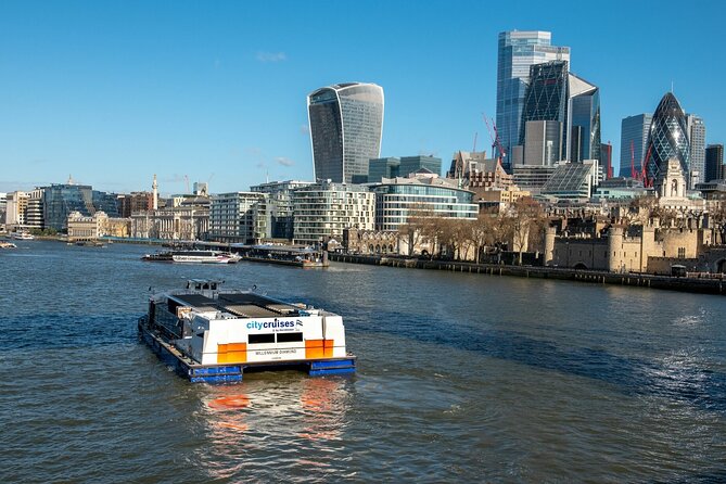 London: Harry Potter Walk, Hop-on Hop-off Bus Tour and Cruise - How to use the sightseeing bus well