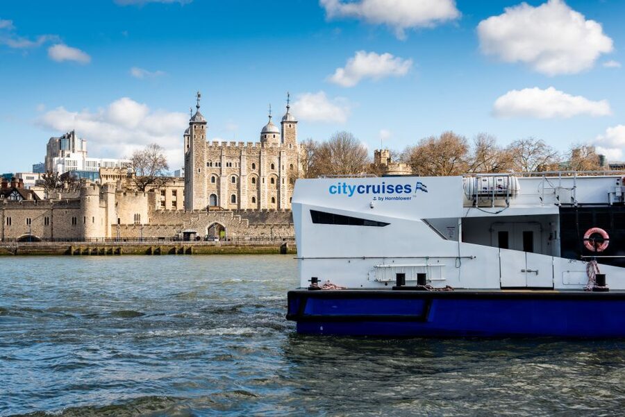 London: Harry Potter Walk, Hop-on Hop-off Bus Tour & Cruise - The two-hour Harry Potter walk through central London