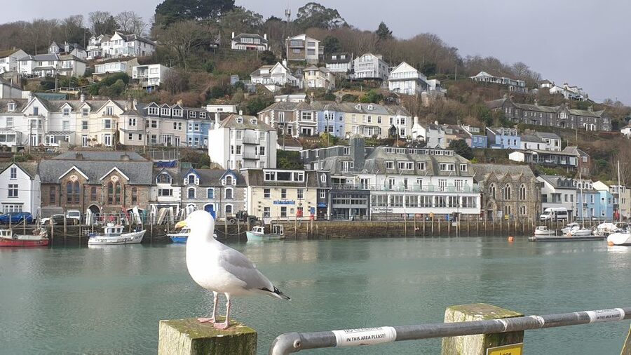Looe: Beyond Paradise TV Locations Tour - Shops, restaurants, and familiar corners