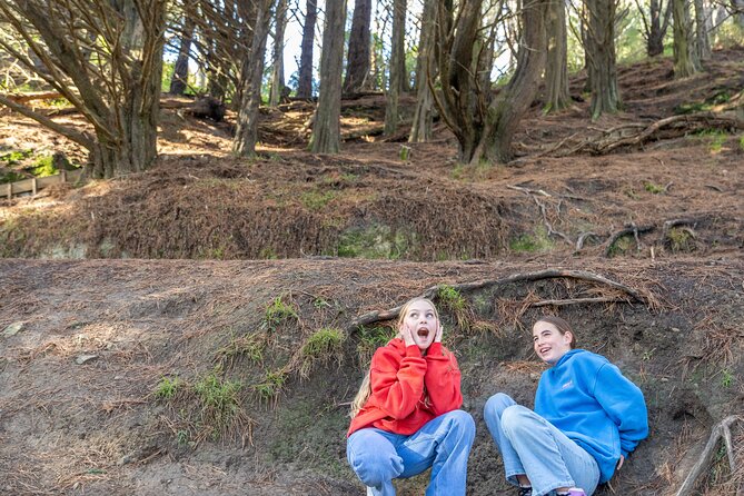 Lord of The Rings Full Day locations tour incl Weta & keepsake - The Hutt Valley turns quarries and parks into movie sites