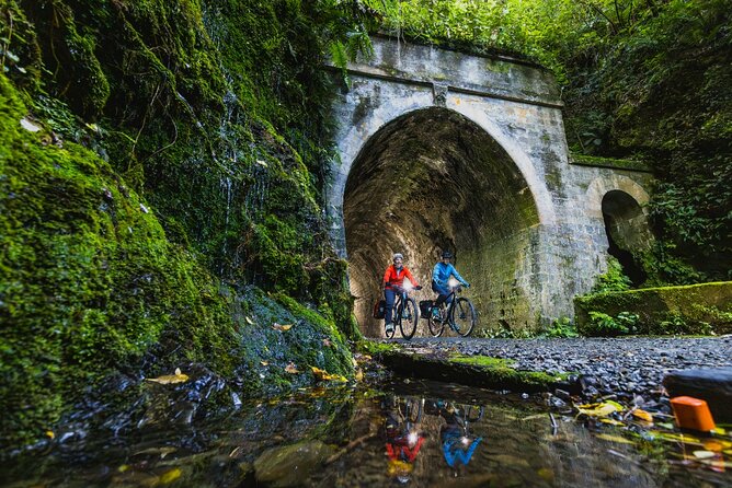 Lord of The Rings Full Day locations tour incl Weta & keepsake - Isengard at Harcourt Park