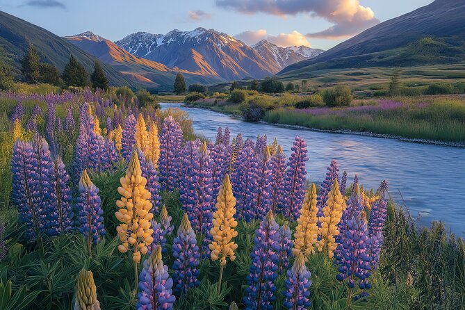 Lord of the Rings Scenic Half Day Tour from Queenstown - Mt Aspiring National Park and private Arcadia Station
