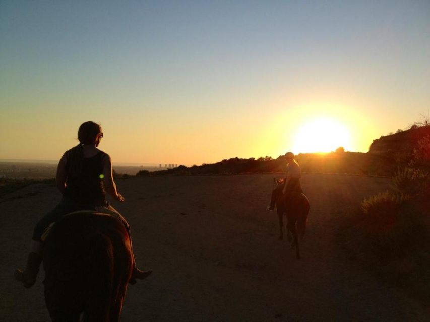 Los Angeles: 2-Hour Hollywood Trail Horseback Riding Tour - Hollywood sign views, with realistic expectations