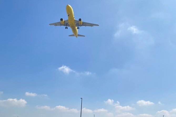 Los Angeles 3-Hour Hollywood - Beverly Hills -LAX Trip - Who Will Get the Most From This Ride