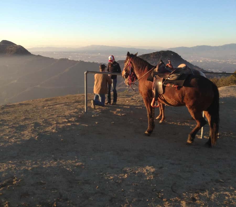 Los Angeles: Evening 2-Hour Hollywood Horseback Riding Tour - Riding through a 5,000-acre city park