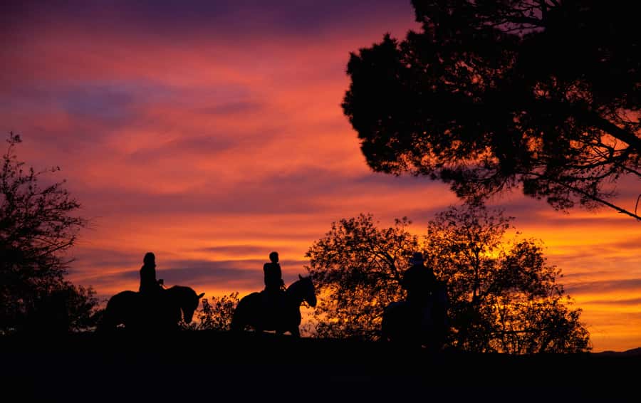 Los Angeles: Evening 2-Hour Hollywood Horseback Riding Tour - Meeting the horses and getting ready