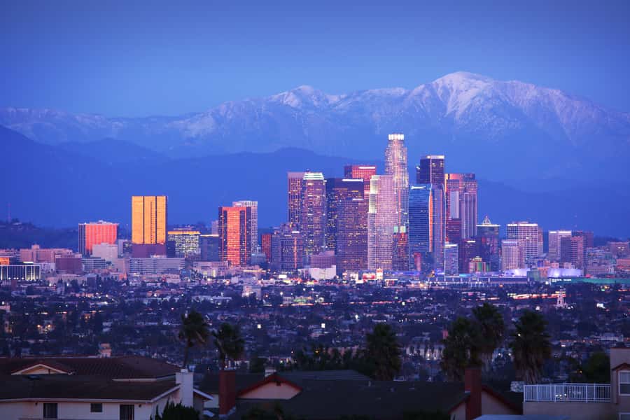 Los Angeles, Hollywood, & Beverly Hills Afternoon City Tour - Why the guide can make or break the afternoon