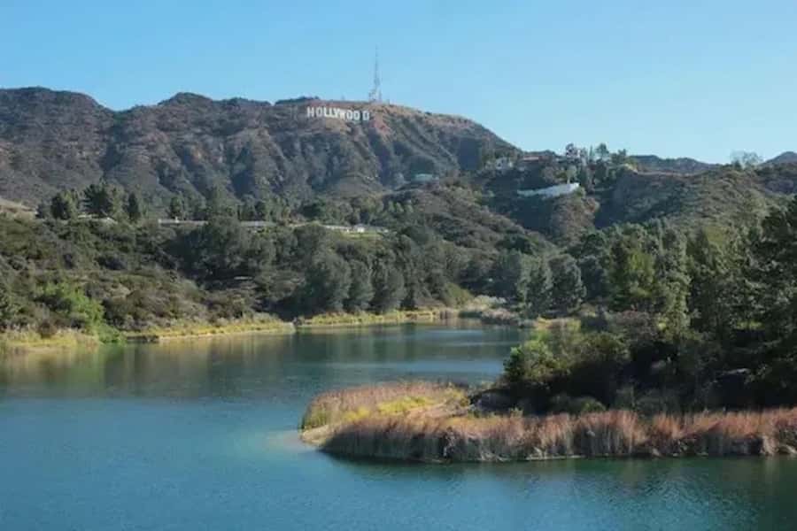 Los Angeles: Hollywood Hills Spiritual and Cultural Tour - The Hollywood Hills by Jeep or van