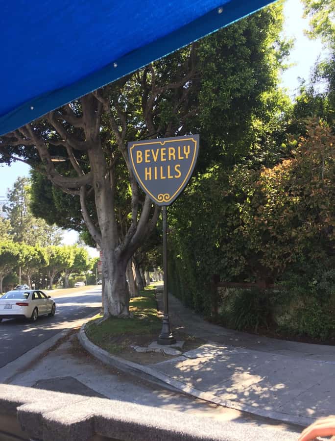Los Angeles: Hollywood Tour & Celebrity Homes - Why the small group matters