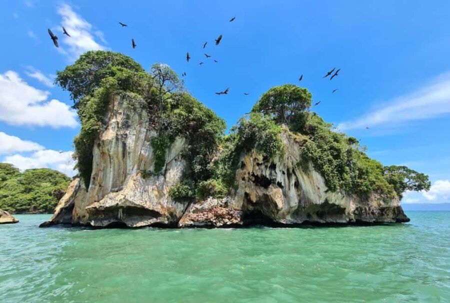 Los Haitises: Boat + Lunch at the beach & Natural pools - How much of the day is really spent touring?