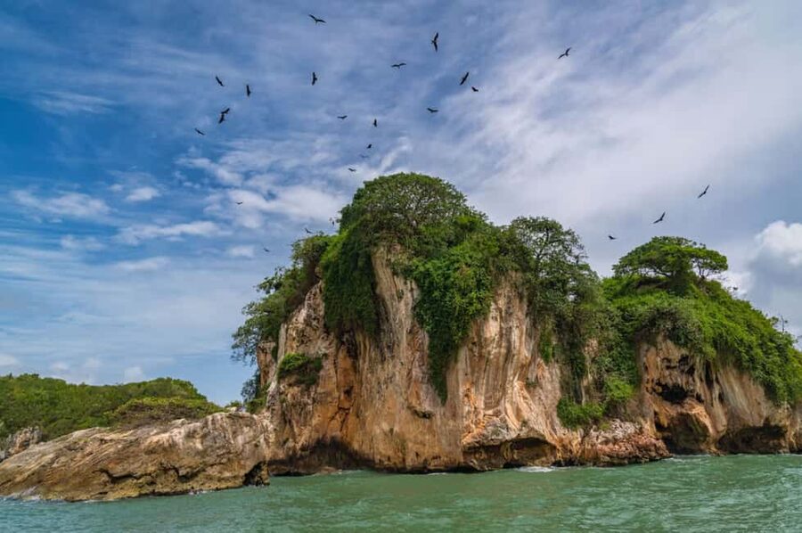 Los Haitises: Boat + Lunch at the beach & Natural pools - Group size, guides, and language