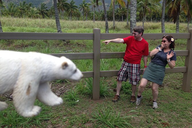 'Lost' and Movie Tour - Pickup, timing, food, and practical details