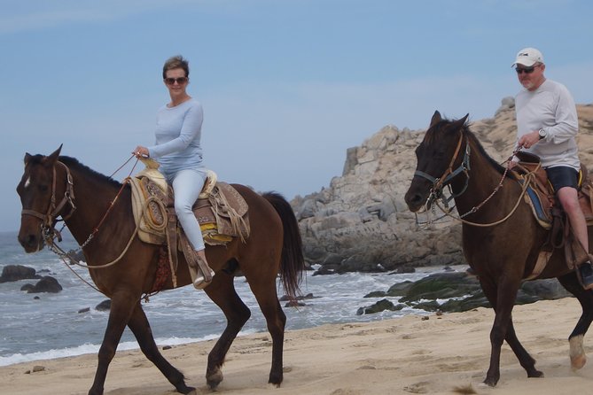 Love is in the air: Private Cabo Beach Sunset Horse Ride W Dinner - How the timing works from hotel pickup to dinner