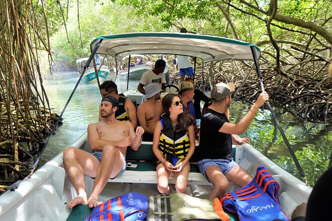 Magical Full-Day Tour Through The Mangroves And The Beach In Isla de Barú - The mangroves by native boat
