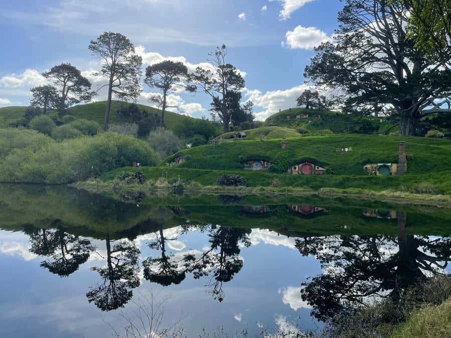 Magical Hobbiton & Waitomo Caves Small Group from Auckland - Waitomo Glowworm Caves and the hour underground