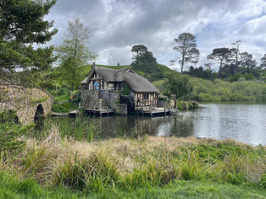Magical Hobbiton & Waitomo Caves Small Group from Auckland - Who should book this day tour?