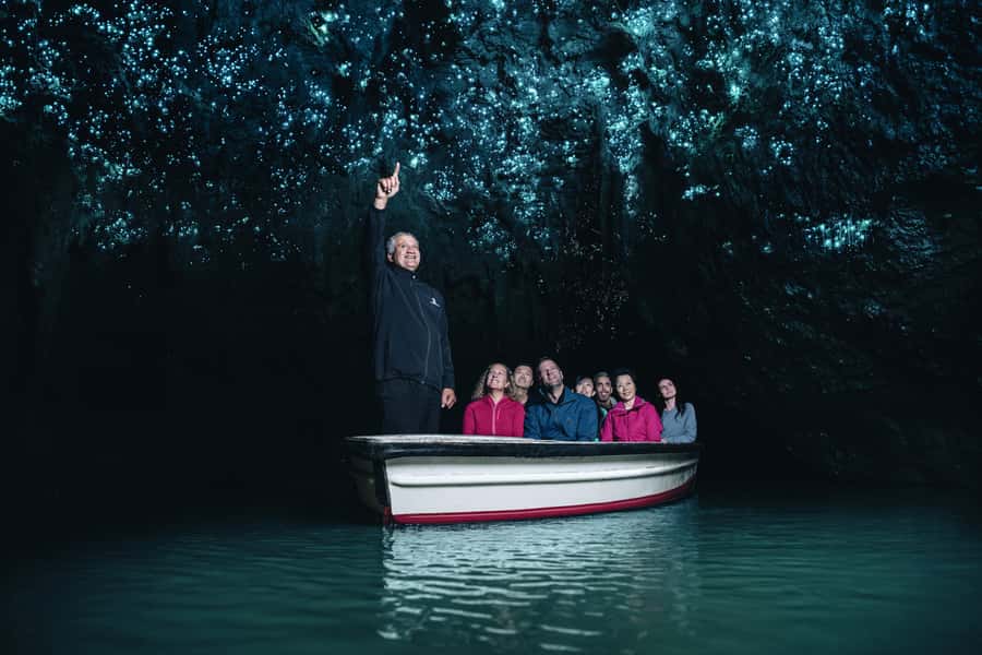 Magical Hobbiton & Waitomo Caves Small Group from Auckland - Auckland pickup and the long road south