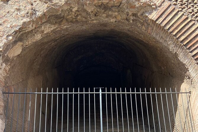 Magnificent tour of Gladiator Arena, Colosseum and Imperial Forum - Meeting point, timing, and strict booking rules