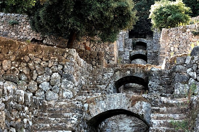 Mallorca Hidden Marvels: Guided Routes for Small Groups - Route 1: quiet hills, Miramar, and olive oil