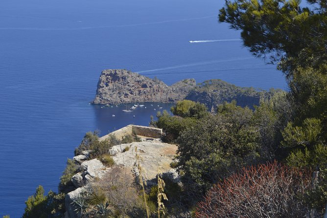 Mallorca Hidden Marvels: Guided Routes for Small Groups - Food that gives the day its local flavor