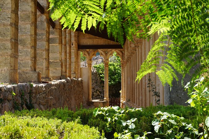Mallorca Hidden Marvels: Guided Routes for Small Groups - Timing, comfort, and practical limits