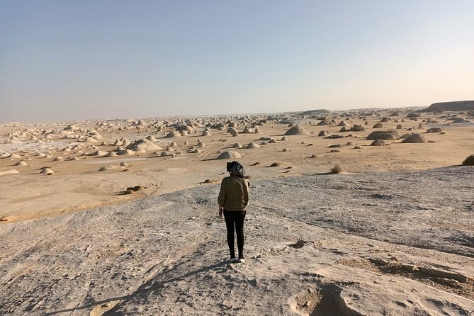Marvel 10 Day to Giza Pyramids ,White desert ,Nile Cruise & Hotel - From desert camp to Aswan by train