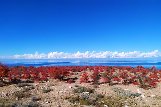 Marvellous 3 days around Issyk-Kul lake - Key points to know before booking