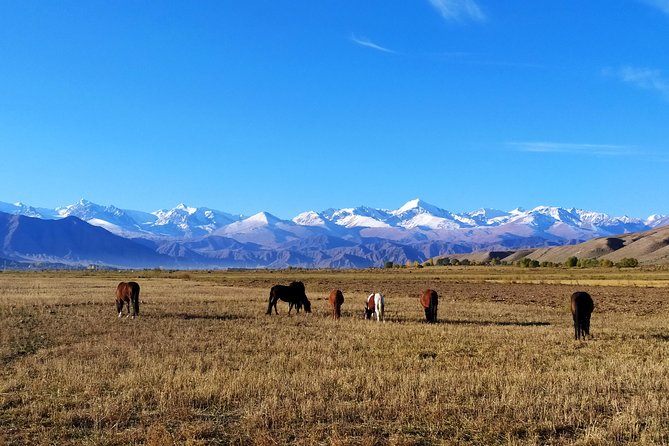 Marvellous 3 days around Issyk-Kul lake - Why three days around Issyk-Kul works