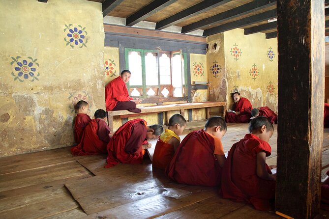 Marvels of Bhutan-A Bespoke Travel Experience - Meeting Bhutan’s takin at Motithang