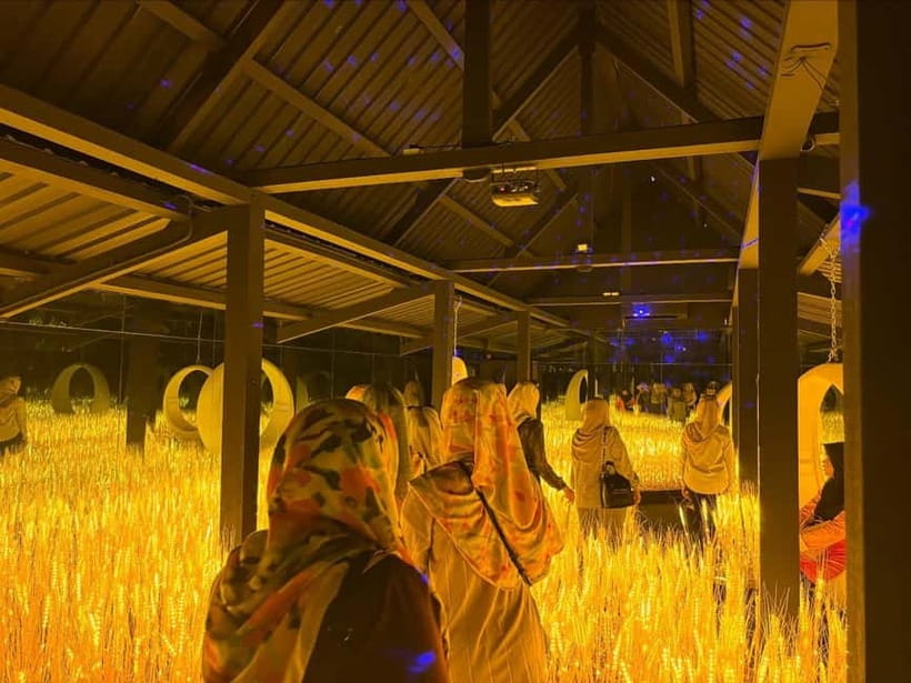 Melaka: Malaysia Heritage Studios Entry Ticket - Accessibility and practical limits