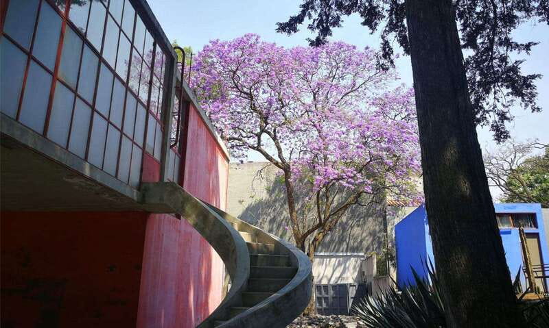 Mexico City: Frida Kahlo-Diego Rivera Studio House Tour - Why this studio house matters