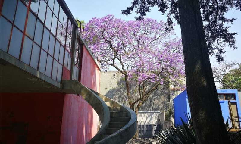 Mexico City: Frida Kahlo-Diego Rivera Studio House Tour - Practical details before you reserve