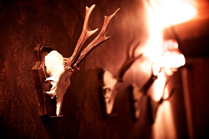 moviESCAPE Stockport Haunted House II Demon's Curse Escape Room - What happens during the 90-minute visit