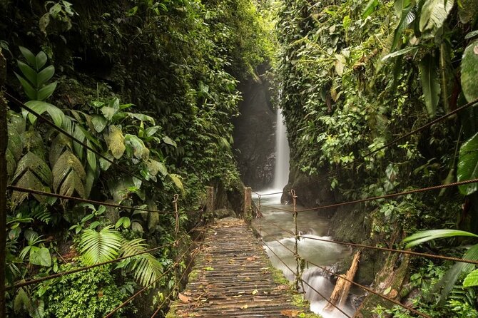 Mystical Mindo Marvels: A Daylong Dive into Nature's Dreamland! - Lunch, then a choice of chocolate or butterflies