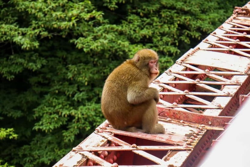 Nagano UNESCO Park: Emerald Acid Lake & Ghibli Onsen Town - A slower hour in Shibu Onsen