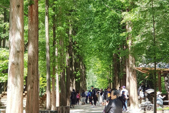 Nami Island and Petite France - Filming location - Key points at a glance