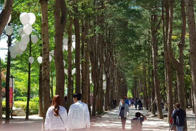 Nami Island and Petite France - Filming location - Why this Seoul day trip works